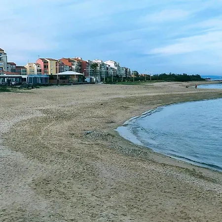 Asphodeles Bord De * Agde